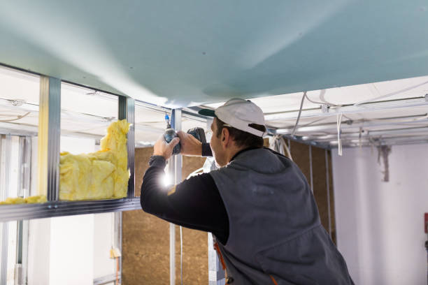 Best Insulation Installation Services in Stanton, TX